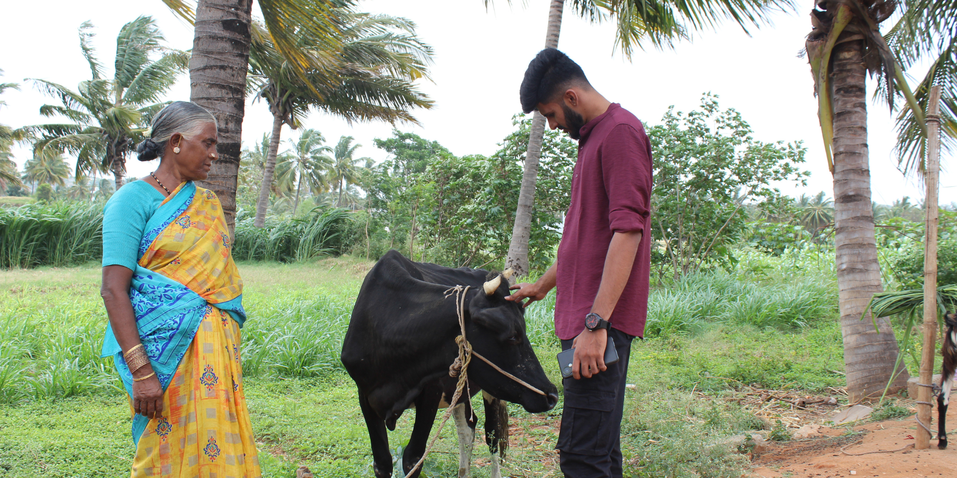 Fresh milk in eco-friendly glass bottles