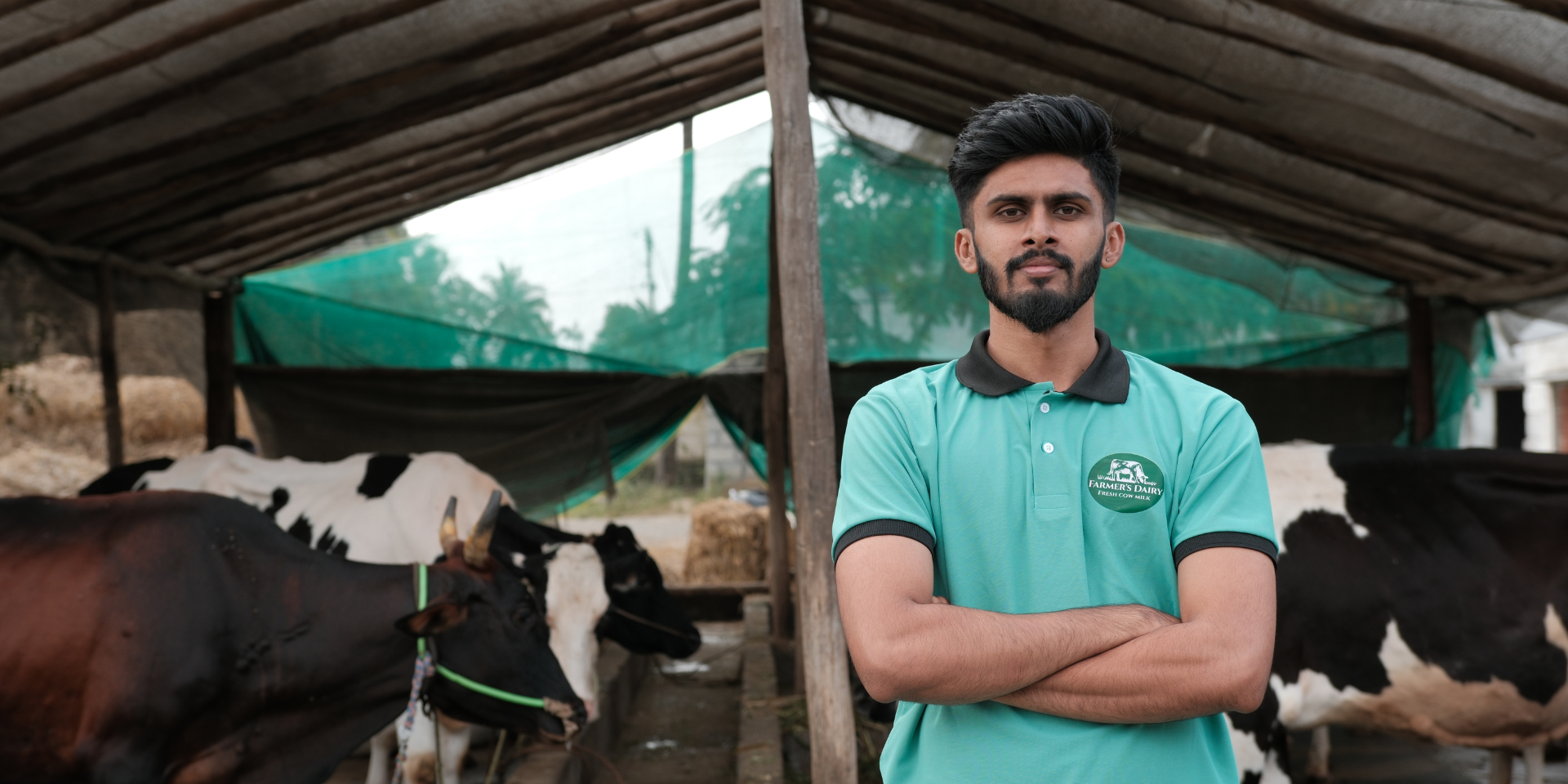 Cows at Farmer's Dairy pasture — from our family farm to your family table